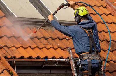 Démoussage et hydrofuge de toiture à Vieillevie